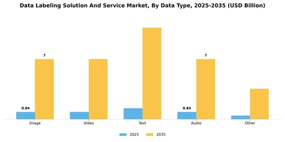 Data Labeling Solution And Service Market  Segment Image 1