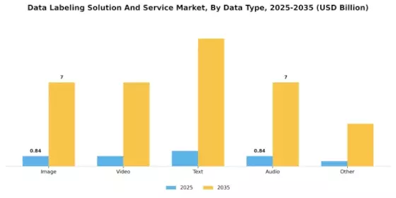 Data Labeling Solution And Service Market  Segment Image 1