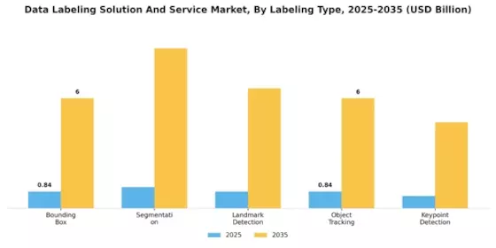 Data Labeling Solution And Service Market  Segment Image 2