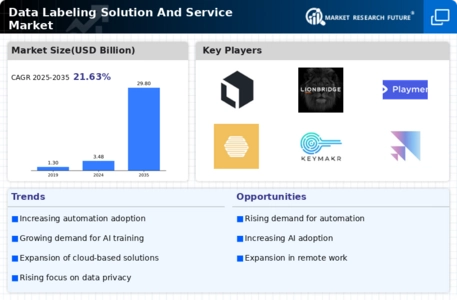 Data Labeling Solution And Service Market  Infographic