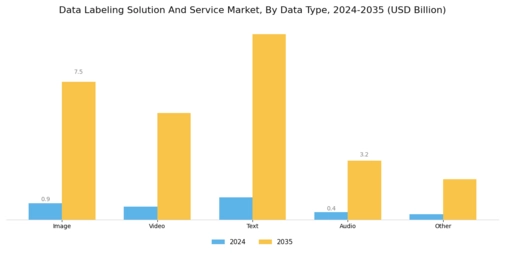 Data Labeling Solution And Service Market  Segment Image 1