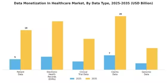 Data Monetization In Healthcare Market  Segment Image 0