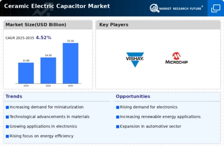 Ceramic Electric Capacitor Market Infographic