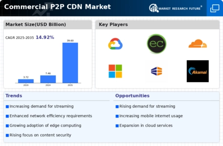 Commercial P2P CDN Market  Infographic
