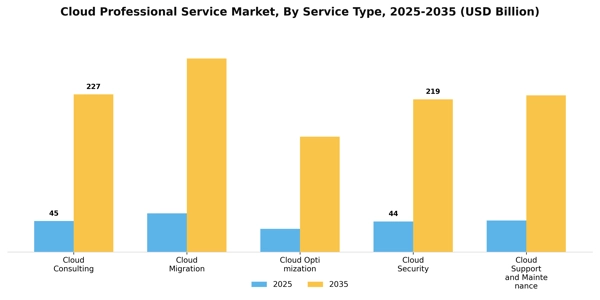 Cloud Professional Service Market Segment Image 3