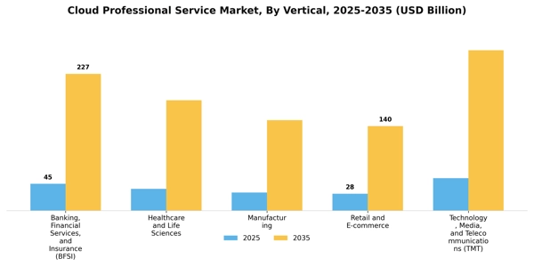 Cloud Professional Service Market Segment Image 4