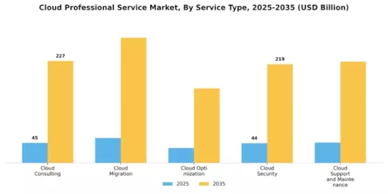 Cloud Professional Service Market Segment Image 0