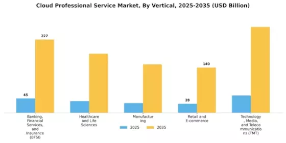 Cloud Professional Service Market Segment Image 2