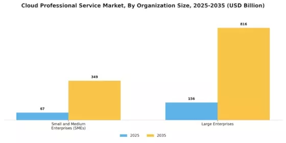 Cloud Professional Service Market Segment Image 3