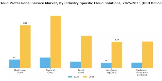 Cloud Professional Service Market Segment Image 4