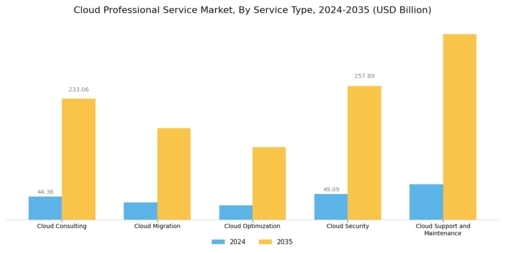 Cloud Professional Service Market Segment Image 0