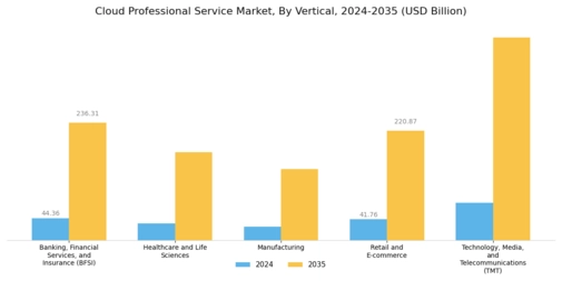 Cloud Professional Service Market Segment Image 2