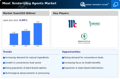 Meat Tenderizing Agents Market Infographic
