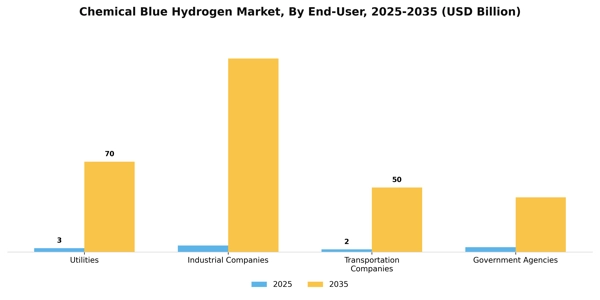 Chemical Blue Hydrogen Market Segment Image 1