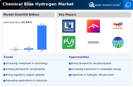 Chemical Blue Hydrogen Market Infographic