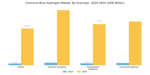Chemical Blue Hydrogen Market Segment Image 2