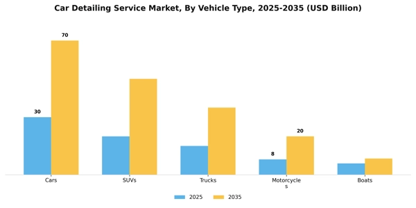 Car Detailing Service Market Segment Image 4