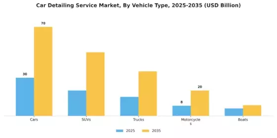Car Detailing Service Market Segment Image 1