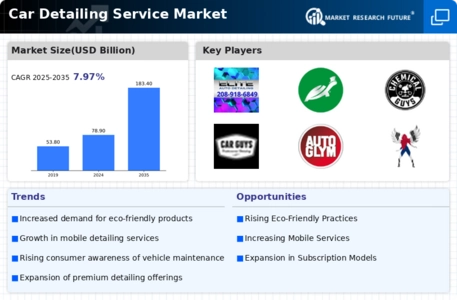 Car Detailing Service Market Infographic