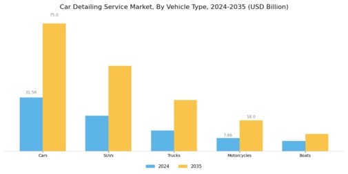 Car Detailing Service Market Segment Image 1