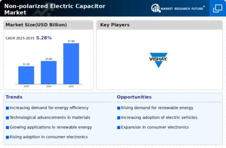 Non Polarized Electric Capacitor Market
 Infographic