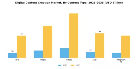 Digital Content Creation Market Segment Image 0