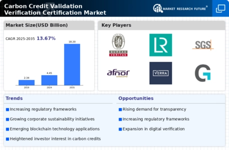 Carbon Credit Validation Verification Certification Market Infographic