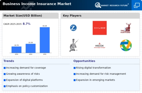 Business Income Insurance Market Infographic