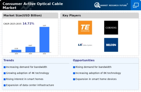 Consumer Active Optical Cable Market Infographic