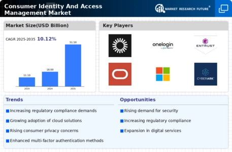 Consumer Identity Access Management Market
 Infographic