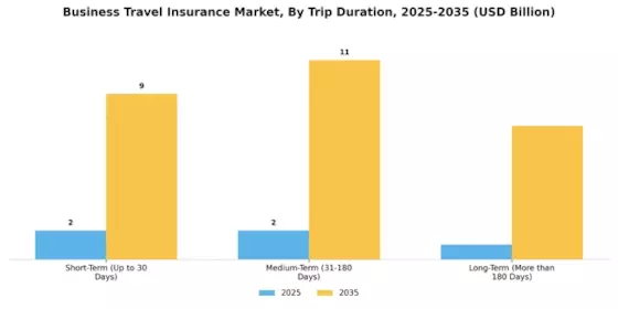 Business Travel Insurance Market Segment Image 0