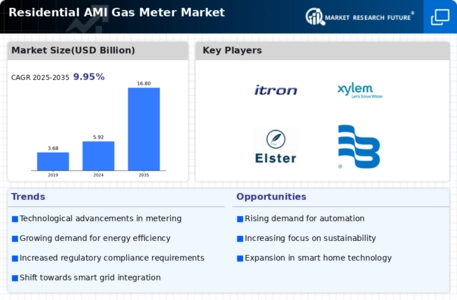 Residential AMI Gas Meter Market Infographic