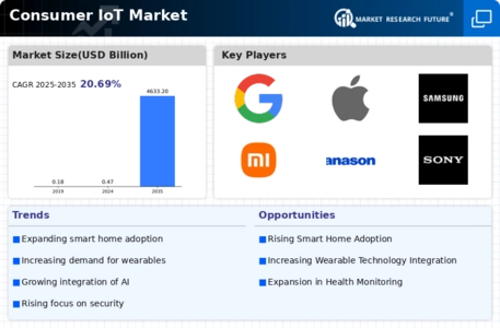 Consumer IoT Market  Infographic
