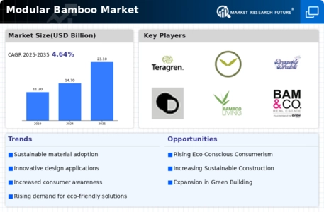 Modular Bamboo Market
 Infographic