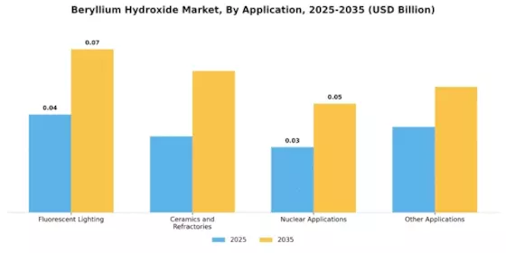 Beryllium Hydroxide Market Segment Image 1