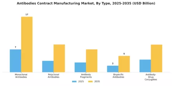 Antibodies Contract Manufacturing Market Segment Image 0