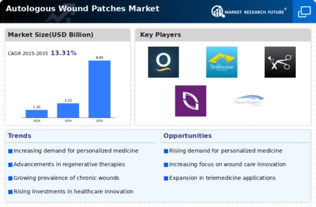 Autologous Wound Patches Market Infographic