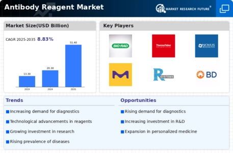 Antibody Reagent Market Infographic
