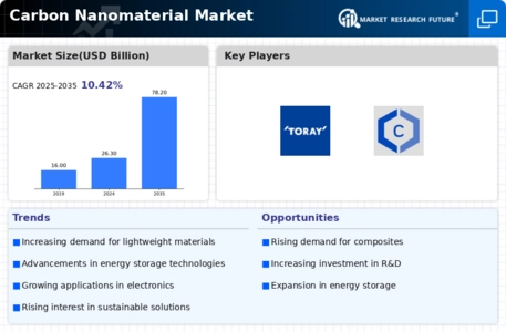 Carbon Nanomaterial Market Infographic