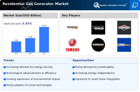 Residential Gas Generator Market Infographic