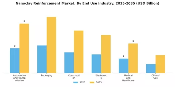 Nanoclay Reinforcement Market Segment Image 0