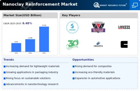 Nanoclay Reinforcement Market Infographic
