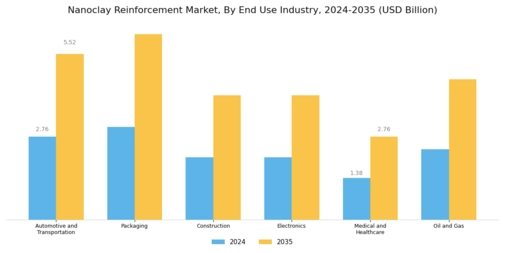 Nanoclay Reinforcement Market Segment Image 0
