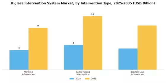 Rigless Intervention System Market Segment Image 0