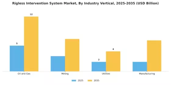 Rigless Intervention System Market Segment Image 2