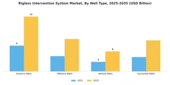 Rigless Intervention System Market Segment Image 3