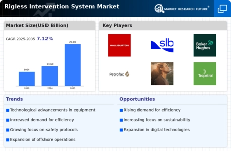 Rigless Intervention System Market Infographic