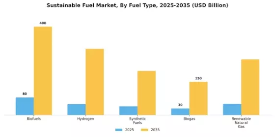 Sustainable Fuel Market Segment Image 0