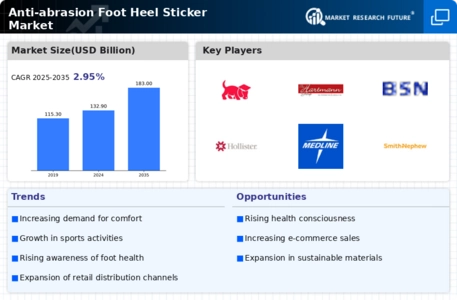 Anti Abrasion Foot Heel Sticker Market Infographic