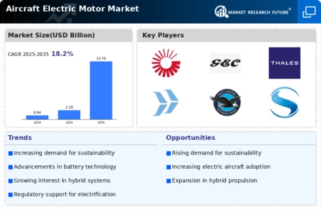 Aircraft Electric Motor Market Infographic